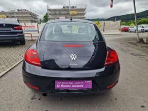 Volkswagen Beetle Bild 8