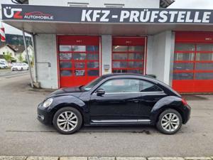 Volkswagen Beetle Bild 6