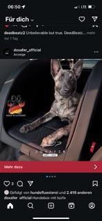 Peugeot 308 Bild 10