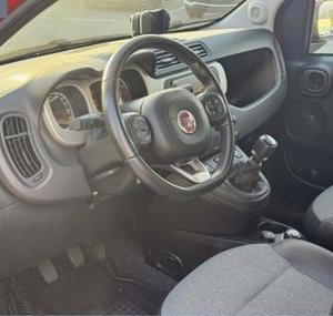 Fiat Panda Bild 5