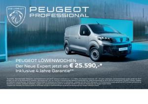 Peugeot Expert Tepee Bild 16