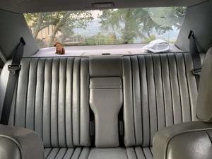 Mercedes-Benz E-Klasse Bild 7
