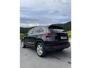 Skoda Karoq Bild 4