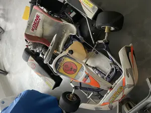 Cart für Erwachsene 