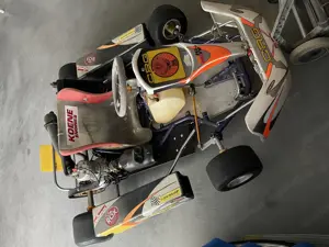Cart für Erwachsene  Bild 3