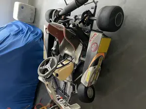 Cart für Erwachsene  Bild 2