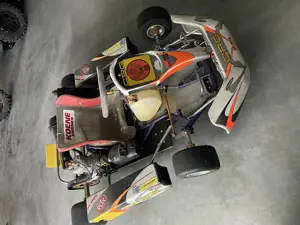 Cart für Erwachsene  Bild 4