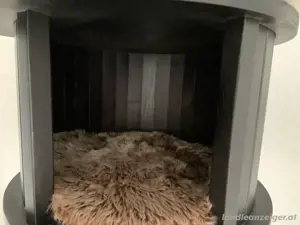 Kratzbaum Katzen Bild 5