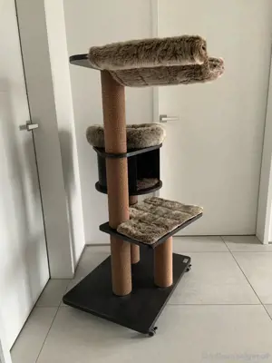 Kratzbaum Katzen Bild 2