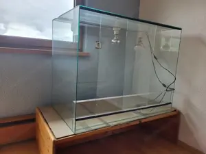 Terrarium in bestem Zustand