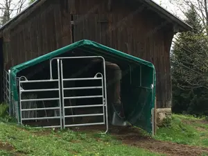 VOSS Weidezelt mit Planen, Mittelpanel und Tür Bild 2