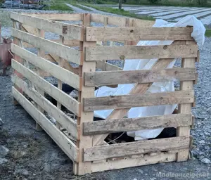 Holz Kiste ca. 2m x 1m