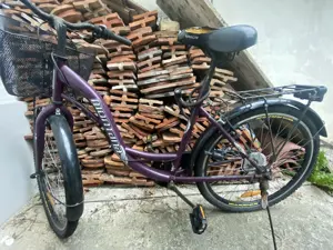 Fahrrad kostenlos Bild 2