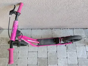 Trittroller