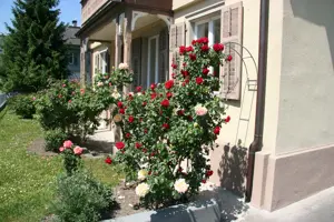 3 Zimmer Wohnung Stadtnähe Feldkirch (10 min zu Fuß) ab September 2025 zu vermieten