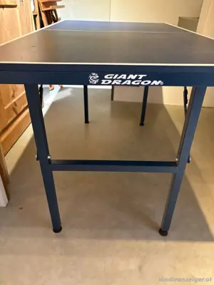 Tischtennisplatte indoor klein 