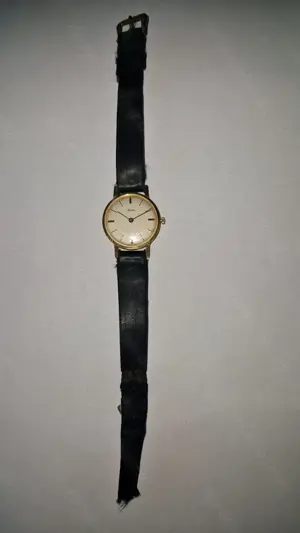 Alpina Damen Armbanduhr  Bild 2