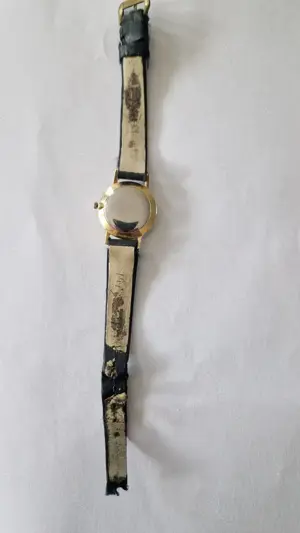 Alpina Damen Armbanduhr  Bild 4