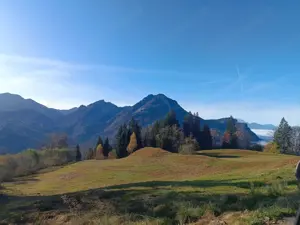 Suche Hilfsarbeiter im wald