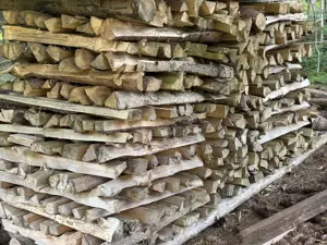 Brennholz  Ofenholz versch. Längen, trocken