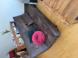Couch (mit Bettfunktion)