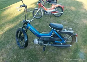Puch maxi n Bild 2