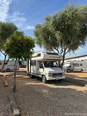 Wohnmobil Fiat Eriba