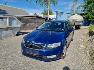 Skoda Octavia 2.0 TDI 4x4 Bild 4