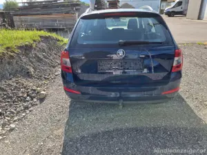 Skoda Octavia 2.0 TDI 4x4 Bild 7