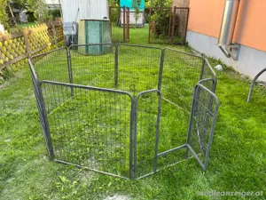 Gehege, Kleintier, Hasen, Enten, Hamster, Huhn, Hund
