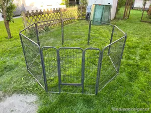 Gehege, Kleintier, Hasen, Enten, Hamster, Huhn, Hund Bild 2