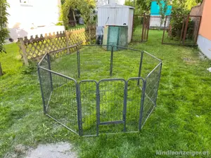 Gehege, Kleintier, Hasen, Enten, Hamster, Huhn, Hund Bild 3