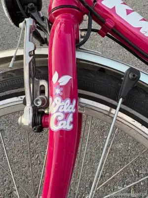 Kinderfahrrad KTM Wild cat 20 Bild 2