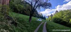 Wiese zu verpachten ca 1 ha, zum Heuen oder als Weide Bild 4
