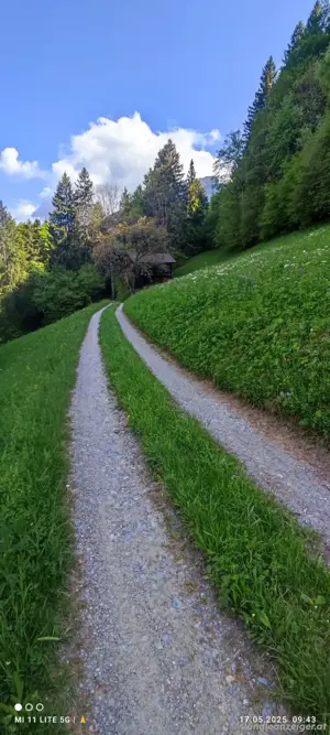 Wiese zu verpachten ca 1 ha, zum Heuen oder als Weide Bild 2