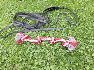 Hundeleine  Bild 2