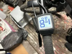 Conway Cairon C 1.0 E-Bike Bild 4