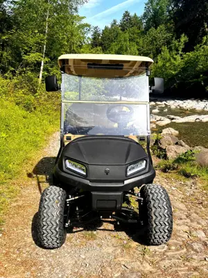 Golf Car Clubcar Einzelstück