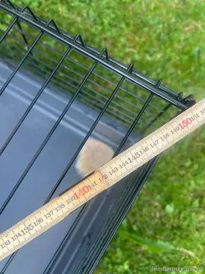 Kanninchen Käfig  Bild 2