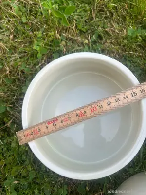 Futter oder Trink Napf für Kanninchen Bild 3
