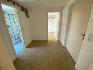 Kleine gemütliche 1-Zi.Wohnung In Hard zu vermieten Bild 2