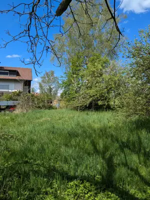 Wunderschöner Garten in Hörbranz günstig zu vermieten Bild 2