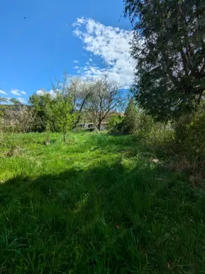 Wunderschöner Garten in Hörbranz günstig zu vermieten