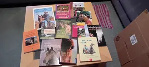 Verschenke Bücher für Flohmarkt  Bild 3