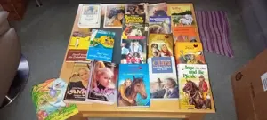 Verschenke Bücher für Flohmarkt  Bild 4