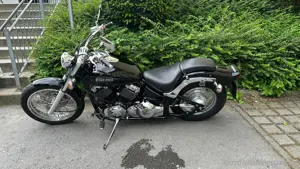 Yamaha XVS 650 Drag Star Bild 4