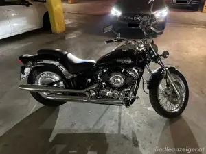 Yamaha XVS 650 Drag Star Bild 5