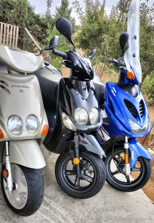 Suche Yamaha Aerox MBK Neos  Ovetto 