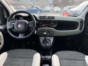 Fiat Panda Bild 7