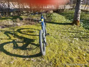 E Bike von Haibike Bild 7